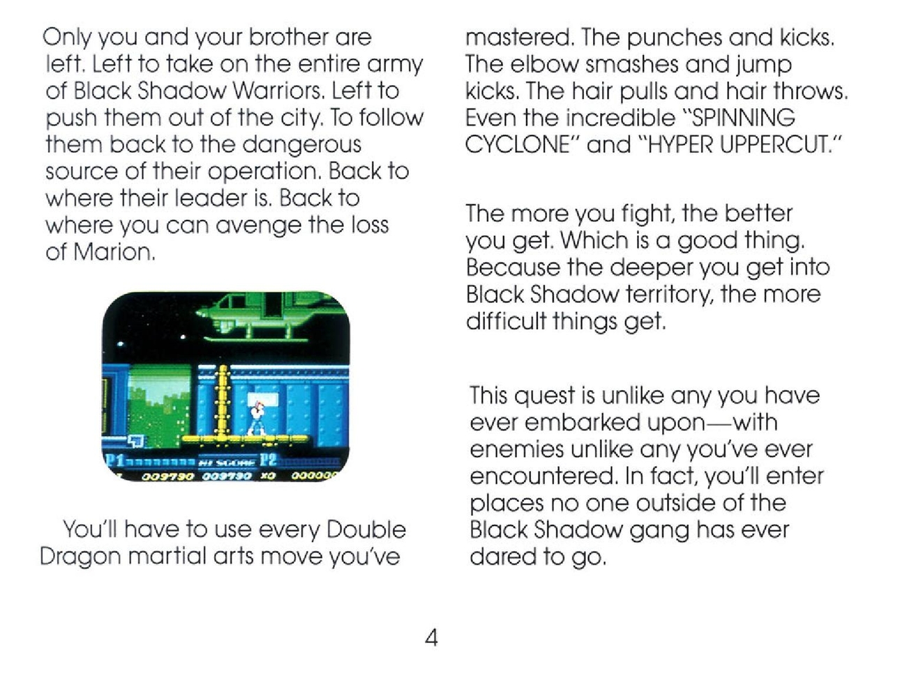 Double Dragon II - The Revenge auf Nes: Das Handbuch