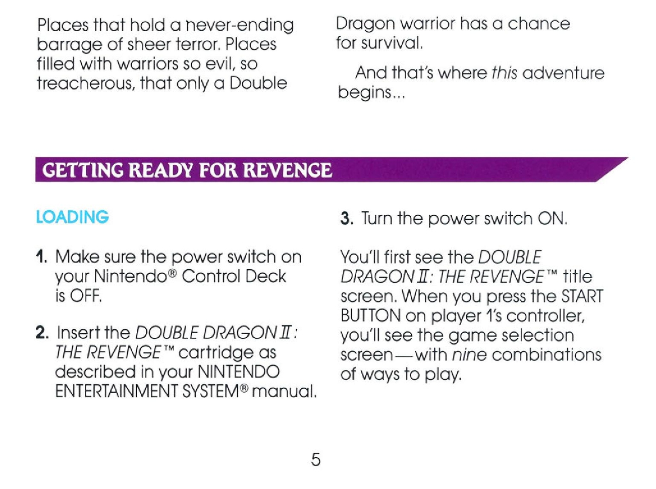 Double Dragon II - The Revenge sur Nes : La notice