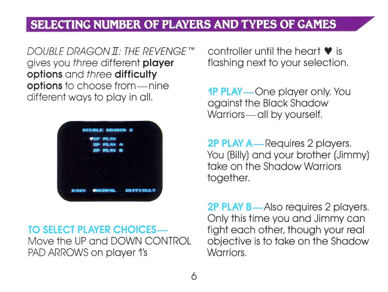 Double Dragon II - The Revenge sur Nes : La notice