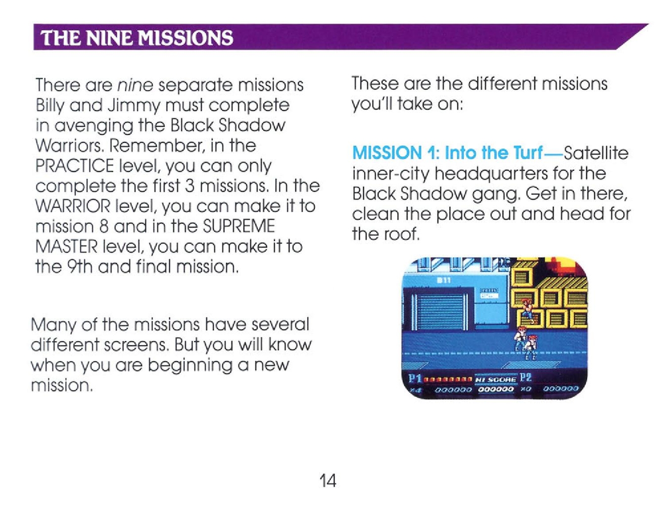 Double Dragon II - The Revenge sur Nes : La notice