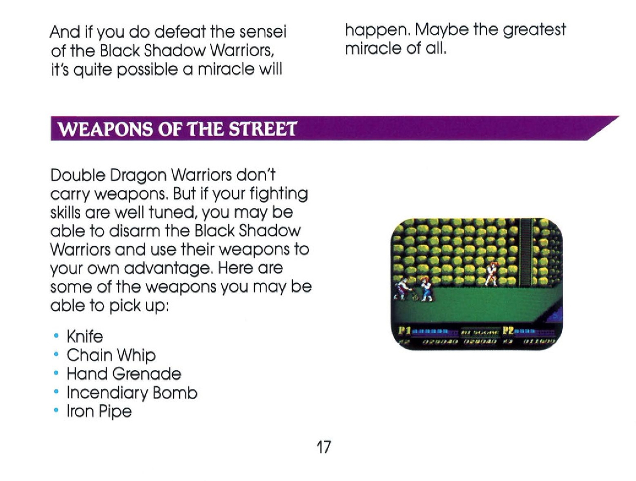 Double Dragon II - The Revenge sur Nes : La notice
