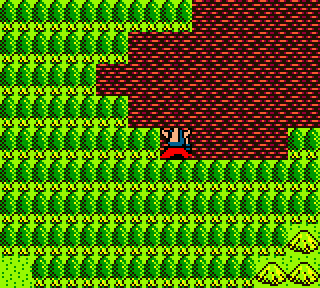 Le test de Dragon Warrior I & II sur Game Boy Color