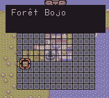 Zelda oracle of ages sur Game boy color : Les quarts de coeur