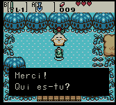 Soluce de Zelda Oracle Of Ages (Zelda OOA) sur Game Boy Color (GBC) : Du début au premier palais (tombe esprit)