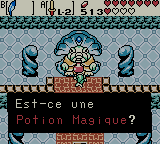 Soluce de Zelda Oracle Of Ages (Zelda OOA) sur Game Boy Color (GBC) : Du palais 6 (Donjon Sirène) au palais 7 (Ventre de Jabu-Jabu)