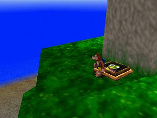 Soluce de Banjo & Kazooie sur nintendo 64 (n64) : Niveau 1 - Mumbo's Mountain, la montagne Mumbo