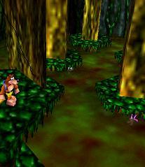 Soluce de Banjo & Kazooie sur nintendo 64 (n64) : Niveau 1 - Mumbo's Mountain, la montagne Mumbo