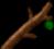 Zelda Ocarina Of Time : Les objets, musiques, sacs, médaillons, pierres, ...