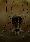 Zelda Ocarina Of Time Master Quest : The Gold Skulltulas of the Overworld