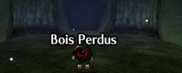 Les bois perdus