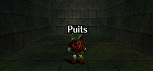Zelda Ocarina Of Time N64-এ : Le puits du village Cocorico