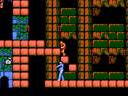Castlevania 1 sur Nes - les Bonus