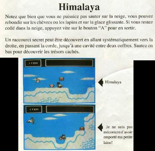Double Dragon II - The Revenge : L'Himalaya
