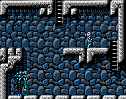 Faxanadu sur Nes : le plan du palais du roi des nains (chateau de Fraternal)