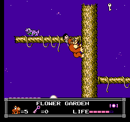 Soluce de Little Nemo Dream Master sur Nes : Niveau 2 - Flower Garden