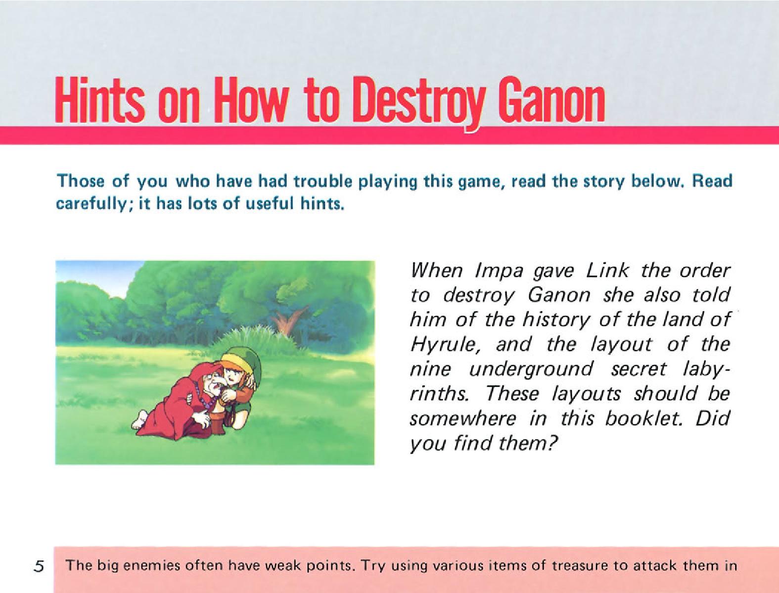 Neseে The Legend of Zelda: ম্যানুয়াল