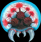 Le Scénario de la série Metroid : Metroid 1 sur Nes (Nintendo Entertainment System)