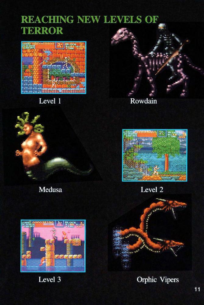 Game Boy Color의 더블 드래곤 II - 더 리벤지: 설명서